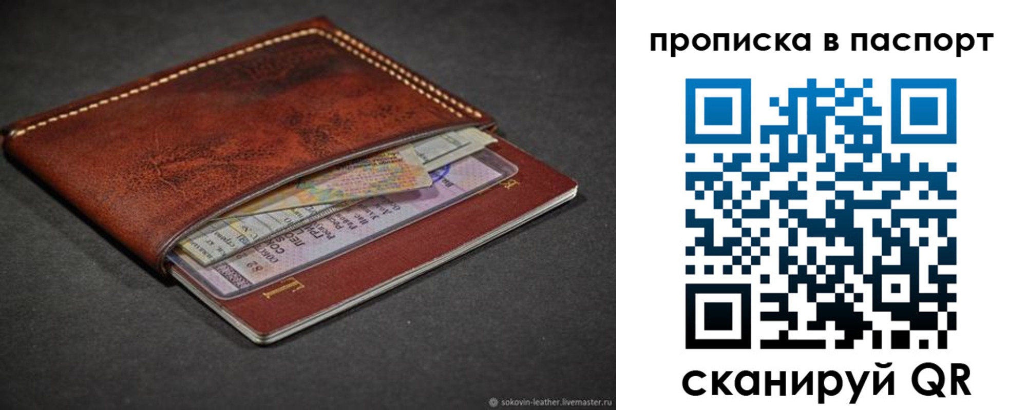прописка гарантия в Новомосковске